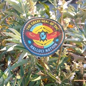 HALLUCI NATION patch